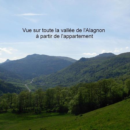 Vacances Au Pied Des Monts Du Cantal Laveissière Екстериор снимка