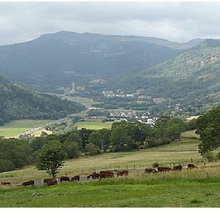 Vacances Au Pied Des Monts Du Cantal Laveissière Екстериор снимка