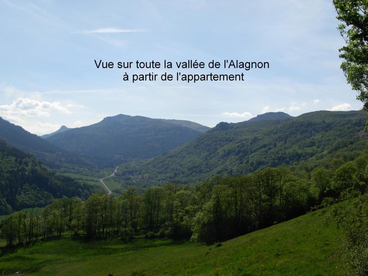 Vacances Au Pied Des Monts Du Cantal Laveissière Екстериор снимка