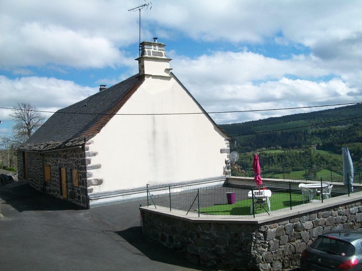 Vacances Au Pied Des Monts Du Cantal Laveissière Екстериор снимка