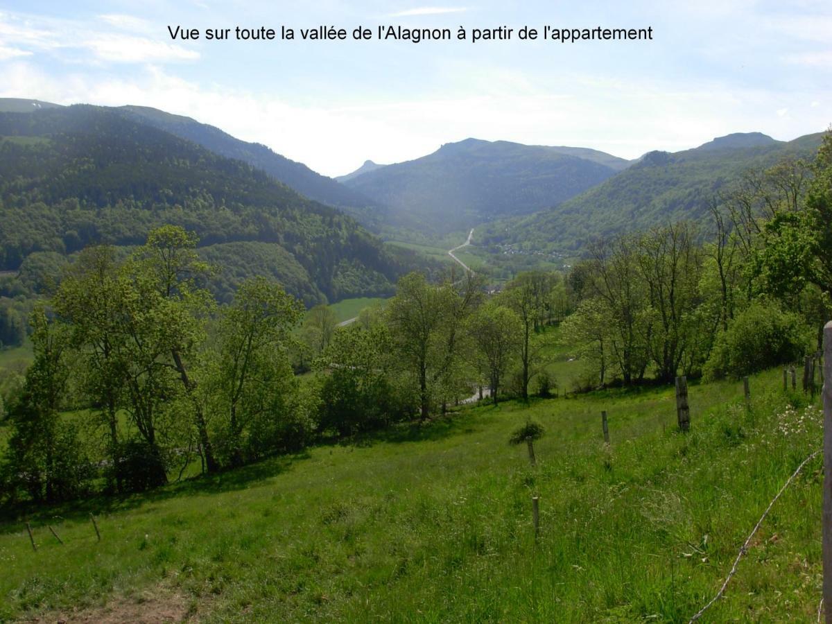 Vacances Au Pied Des Monts Du Cantal Laveissière Екстериор снимка