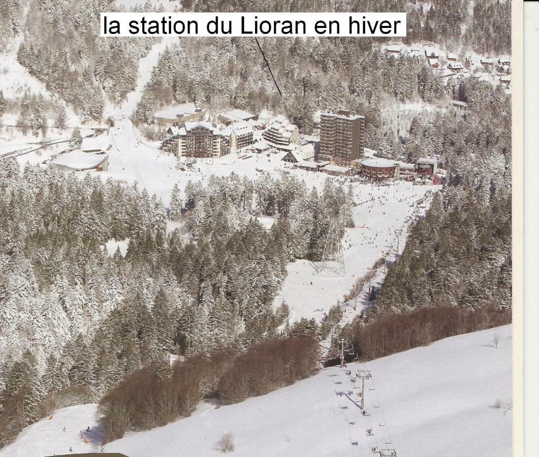 Vacances Au Pied Des Monts Du Cantal Laveissière Екстериор снимка