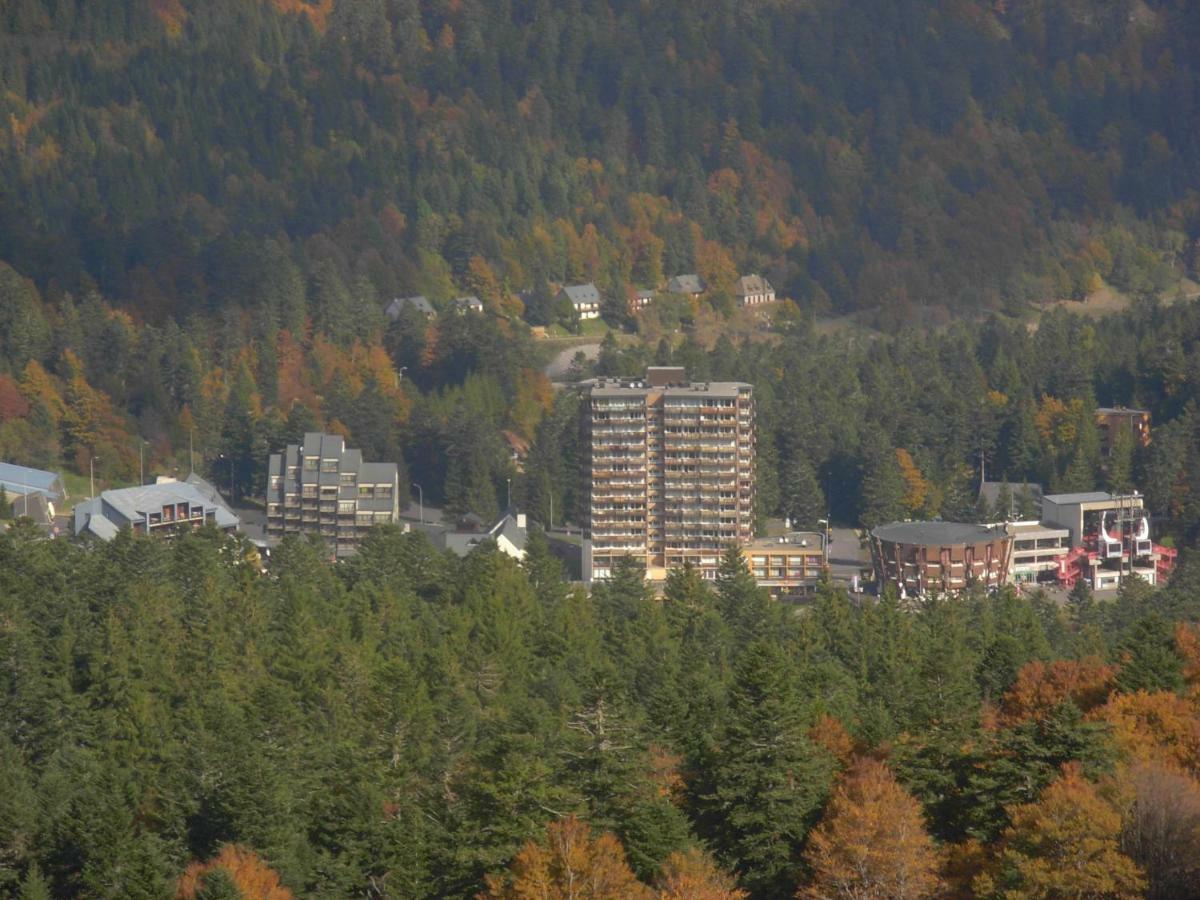 Vacances Au Pied Des Monts Du Cantal Laveissière Екстериор снимка
