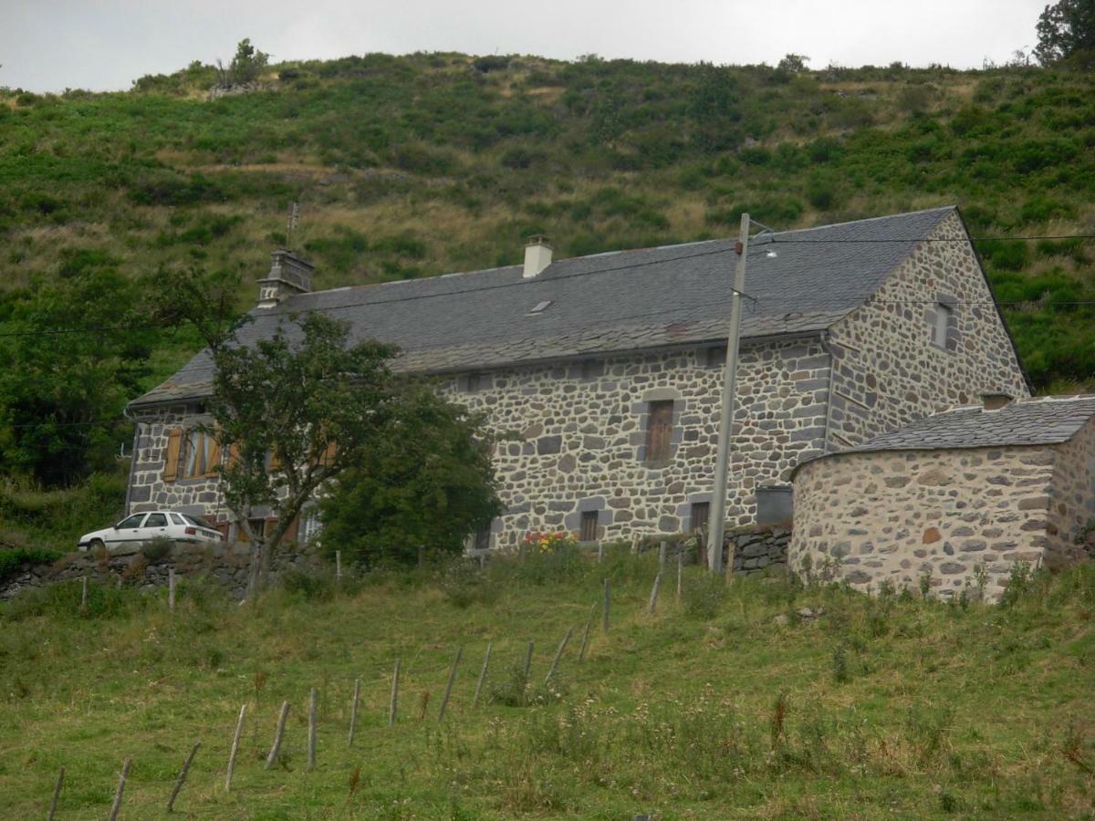 Vacances Au Pied Des Monts Du Cantal Laveissière Екстериор снимка